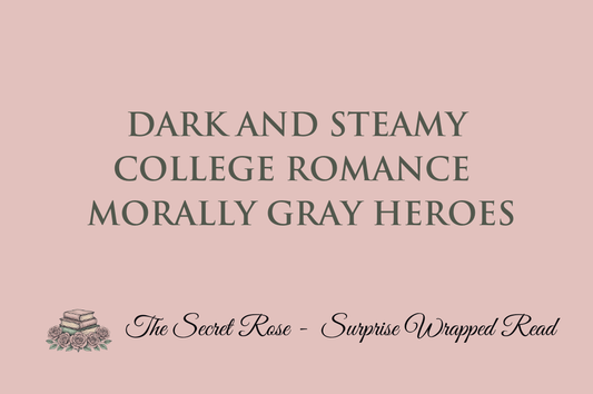 Dark and Steamy - College Romance - Morally Gray Heroes
